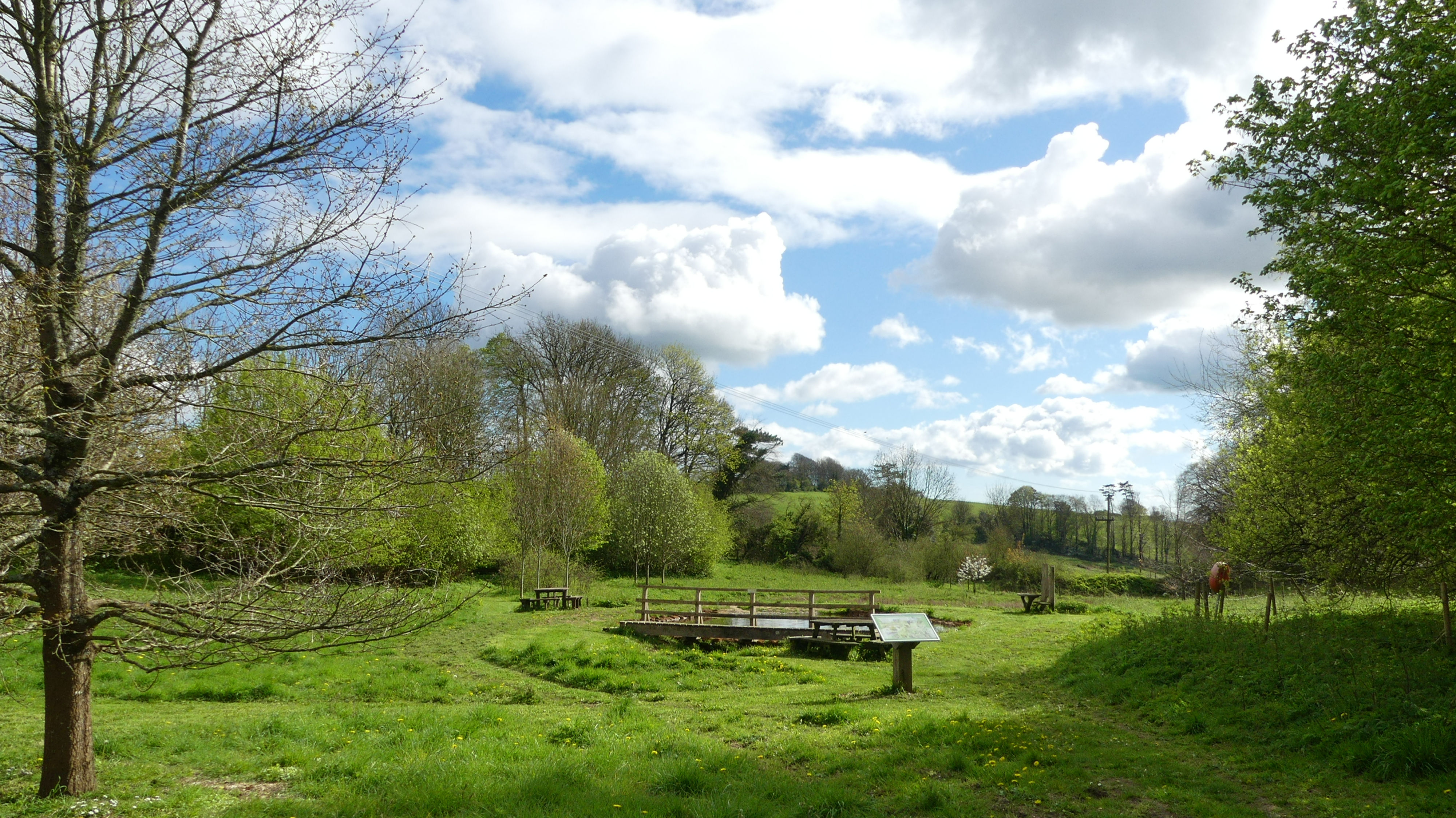 General view of local Dorset nature area with grass, trees, pond, bridge, and sign board