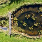 The Pond in September