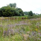 September Update 2024