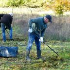 Re-seeding the Wildflower Patch