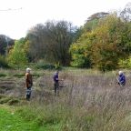 Scything the Wildflower Patch