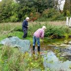 Algae and Alien Pond Weed