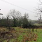 Building a Dead Hedge Habitat – Stage 1